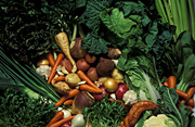 Vegetable, vegetables, mixed, mixed vegetables, endive, endives, potato, potatoes, cauliflower, cauliflowers, cabbage, cabbages, carrot, carrots, beetroot, beetroots, celery, lettuce, lettuces, bok choy, onion, onions.