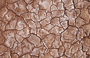 Australia, desert, deserts, drought, drought scene, drought scenes, mud, dried mud, cracked mud, cracked, cracks, cracking, outback, australian outback.