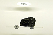 Coal.