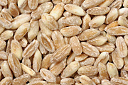 Wheat, organic, crop, crops.
