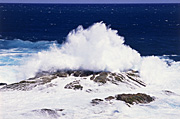 Australia, New South Wales, coast, coasts, coastal, coastline, coastlines, wave, waves, NP80,