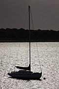 Australia, sa, south australia, goolwa, fleurieu, fleurieu peninsula, peninsula, peninsulas, silhouette, silhouettes, yacht, yachts, boat, boats, boating, mast, masts