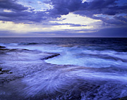 Australia, New South Wales, NP80,