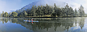 Australia, New South Wales, NP80,