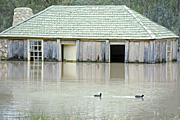 Australia, New South Wales, disaster, disasters, flood, floods, flooding, flooded, river, rivers, namoi, namoi river, water, wee waa, cottage, cottages, roof, roofs, rooves, chimney, chimneys.