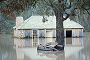 Australia, New South Wales, disaster, disasters, flood, floods, flooding, flooded, river, rivers, namoi, namoi river, water, wee waa, tree, trees, cottage, cottages, roof, roofs, rooves, chimney, chimneys.