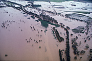 Australia, New South Wales, disaster, disasters, flood, floods, flooding, flooded, river, rivers, namoi, namoi river, wee waa, aerial, aerials.