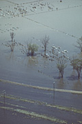 Australia, New South Wales, disaster, disasters, flood, floods, flooding, flooded, river, rivers, namoi, namoi river, wee waa, cemetery, cemeteries, grave, graves, graveyard, graveyards, aerial, aerials.