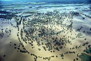 Australia, New South Wales, disaster, disasters, flood, floods, flooding, flooded, river, rivers, namoi, namoi river, wee waa.