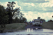 Australia, qld, queensland, eungella, disaster, disasters, flood, floods, flooding, creek, creeks, clovernook, clovernook creek, transport, truck, trucks, people, river, rivers.
