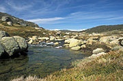 Australia, New South Wales, snowy mountains, alp, alps, creek, creeks, spencers, spencers creek, snow, snow scene, snow scenes, cold, winter.