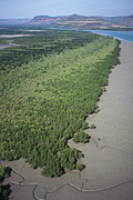 Australia, wa, western australia, aerial, aerials, river, rivers, mitchell, mitchell river, kimberley, kimberleys, the kimberleys, plateau, plateaus, mitchell plateau, sand, water, forest, forests.
