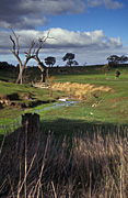 Australia, sa, south australia, adelaide, adelaide hills, rural, rural scene, rural scenes, river, rivers, fence, fences, erosion.