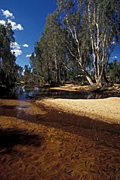 Australia, wa, western australia, river, rivers, drysdale river, drysdale, kimberley, kimberleys, the kimberleys, plateau, plateaus, mitchell, mitchell plateau, tree, trees.