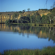 Australia, sa, south australia, river, rivers, walker flat, murray, murray river, water.
