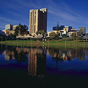 Australia, sa, south australia, adelaide, architecture, river, rivers, torrens, river torrens, torrens river, hotel, hotels, hyatt, hyatt hotel, DFF, DFFCITIES.