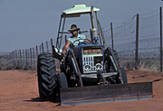 Australia, Australian, Australian desert, Australian deserts, desert, deserts, desert scenes, pest, pests, dingo, dingos, dingoes, dog, dogs, fence, fences, dingo, dingo fence, dog fence, wild, wild dog, wild dogs, feral, feral animal, feral animals, feral dog, feral dogs, native dog, native dogs, fence, fences, dingo fence, outback, australian outback, outback australia, Queensland, Qld, wire fence, wire fences.
