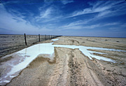 Australia, Australian, Australian desert, Australian deserts, desert, deserts, desert scenes, pest, pests, dingo, dingos, dingoes, dog, dogs, fence, fences, dingo, dingo fence, dog fence, wild, wild dog, wild dogs, feral, feral animal, feral animals, feral dog, feral dogs, native dog, native dogs, fence, fences, dingo fence, outback, australian outback, outback australia, Queensland, Qld, wire fence, wire fences.