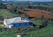 Australia, New South Wales, farm, farms, farming, farm house, farm houses, architecture, rural, rural scene, rural scenes, windbreak, windbreaks, tree, trees, field, fields, paddock, paddocks.