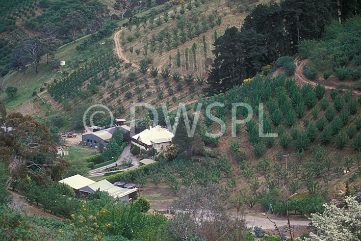 stock photo image: Australia, sa, south australia, adelaide, adelaide hills, farm, farms, farming, farm house, farm houses, orchard, orchards.