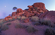Australia, NT, Northern Territory, wauchope, stuart, stuart highway, vegetation, outback, australian outback, outback australia, Devils Marble, Devils Marbles, Devils Marbles Conservation Reserve, boulder, tree, trees, gum tree, gum trees, eucalyptus, eucalyptus tree, eucalyptus trees, boulders, rock, rocks, granite, granite boulder, granite boulders, devil's marbles, geological formation, geological formations, weathering, spheroidal weathering, outback, australian outback, outback australia, sky, skies, blue sky, blue skies, cloud, clouds, outback, australian outback, outback australia.