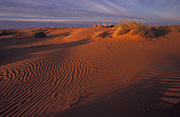Australia, Australian, Australian desert, Australian deserts, Desert, deserts, desert scenes, sa, south australia, outback, australian outback, outback australia, moomba, moomba gas field, moomba gas fields, dunes, sand, sand dune, sand dunes, moomba, moomba gas field, moomba gas fields, outback, australian outback, outback australia.