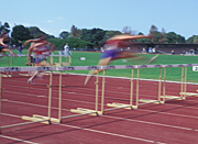 Australia, New South Wales, sydney, Sport pictures, Sports, track, track and field, athlete, athletes, athletics, hurdle, hurdles.
