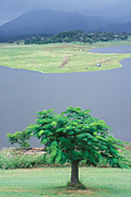 Australia, qld, queensland, moogerah, dam, dams, moogerah dam, Lake Moogerah.