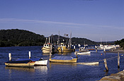 Australia, New South Wales, woy woy, woy woy peninsula, peninsula, peninsulas, boat, boats, boating, vehicle, vehicles, watercraft, row boat, row boats, rowboat, rowboats, rowingboat, rowingboats, rowing boat, rowing boats, fishing, fishing industry, fishing boat, fishing boats, industry, commercial, commercial fishing, trawler, trawlers, fishing trawler, fishing trawlers, moored, mooring, moorings, coast, coasts, coastline, coastlines.