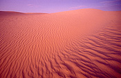 Australia, Australian, Australian desert, Australian deserts, Desert, deserts, desert scenes, sa, south australia, outback, australian outback, outback australia, moomba, moomba gas field, moomba gas fields, dunes, sand, sand dune, sand dunes, moomba, moomba gas field, moomba gas fields, outback, australian outback, outback australia.