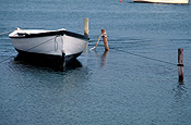 Australia, New South Wales, Narooma, coast, coasts, coastline, coastlines, coastal, boat, boats, boating, watercraft, row boat, row boats, rowboat, rowboats, rowingboat, rowingboats, rowing boat, rowing boats, moored, moored boat, moored boats.