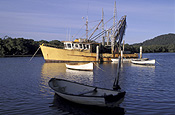Australia, New South Wales, woy woy, woy woy peninsula, peninsula, peninsulas, boat, boats, boating, vehicle, vehicles, watercraft, row boat, row boats, rowboat, rowboats, rowingboat, rowingboats, rowing boat, rowing boats, fishing, fishing industry, fishing boat, fishing boats, industry, commercial, commercial fishing, trawler, trawlers, fishing trawler, fishing trawlers, moored, mooring, moorings, coast, coasts, coastline, coastlines.