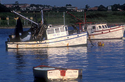 Australia, New South Wales, Narooma, boat, boats, boating, vehicle, vehicles, watercraft, row boat, row boats, rowboat, rowboats, rowingboat, rowingboats, rowing boat, rowing boats, fishing, fishing industry, fishing boat, fishing boats, industry, commercial, commercial fishing, trawler, trawlers, fishing trawler, fishing trawlers, moored, mooring, moorings.