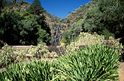 Australia, SA, South Australia, Waterfall gully, waterfall gully state reserve, state reserve, state reserves.