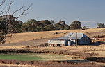 Australia, New South Wales, Kingsvale, farm, farms, farming, farm land, farming land, rural, rural scene, rural scenes, sheep, fence, fences, shed, sheds, shearing shed, shearding sheds, GD39,