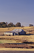 Australia, New South Wales, Kingsvale, farm, farms, farming, farm land, farming land, rural, rural scene, rural scenes, sheep, fence, fences, shed, sheds, shearing shed, shearding sheds, GD39,