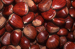 Food, Nut, Nuts, chestnut, Chestnuts, Food, Aesculus, sweet chestnut, sweet chestnuts, Agriculture.