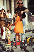 Italy, venice, st mark, saint mark, st marks square, saint marks square, pigeon, pigeons, bird, birds, child, children, girl, girls, female, females, man, men, male, males, outdoors, tourist, tourists, tourism, tourism industry.
