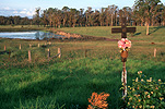 Tribute, tributes, wreath, wreaths, cross, crosses, fatality, fatalities, death, deaths, road fatality, road fatalities, road death, road deaths, accident, accidents, car accident, car accidents.