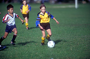 People, child, children, puberty, Sport pictures, Sports, soccer, soccer game, soccer games, soccer ball, run, runs, running, soccer balls, ball, balls, ball game, ball games, ball sport, ball sports, soccer player, soccer players, boy, boys, male, males, children, people, child, children, puberty, child, teenager, teenagers, teenage boy, teenage boys, adolescent, adolescents, football, football game, football games, football player, football players.