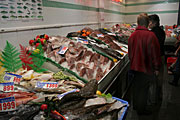 Australia, New South Wales, sydney, market, markets, sydney markets, fish market, fish markets, fish.