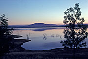 Australia, New South Wales, albury, hume, hume weir, weir, weirs, water, water storage, tree, trees, DB,