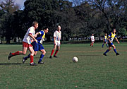 Australia, australian, people, man, men, male, males, Sport pictures, Sports, football, footballer, footballers.