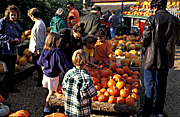 Market, markets, market stall, market stalls, pumpkin, pumpkins, crowd, crowds, people, Australia, Sport pictures, Sports, balloon images, hot air balloons