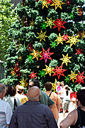 Australia, New South Wales, sydney, people, christmas, christmas scene, christmas scenes, martin place, christmas tree, christmas trees, crowd, crowds.