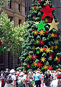 Australia, New South Wales, sydney, people, christmas, christmas scene, christmas scenes, martin place, christmas tree, christmas trees, crowd, crowds, star, stars.