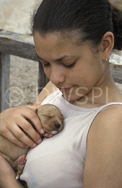 stock photo image: People, child, children, puberty, child, children, girl, girls, female, females, adolescent, adolescents, teenager, teenagers, teenage girl, teenage girls, reads, dog, dogs, domestic, domestic dog, domestic dogs, puppy, puppies, Australia, Sport pictures, Sports, balloon images, hot air balloons