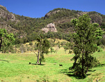 Australia, New South Wales, Gloucester, hill, hills, rolling hill, rolling hills, green hill, green hills, Bucketts Mountains, barrington tops, great dividing range, world heritage, World Heritage site, World heritage sites.