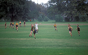 Sport pictures, Sports, football, football game, football games, footballer, footballers, Aussie rules, Aussie rules football, AFL, AFL football.