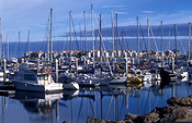 Australia, SA, South Australia, adelaide, north haven, marina, marinas, boat, boats, boating, yacht, yachts, mast, masts, adelaide.